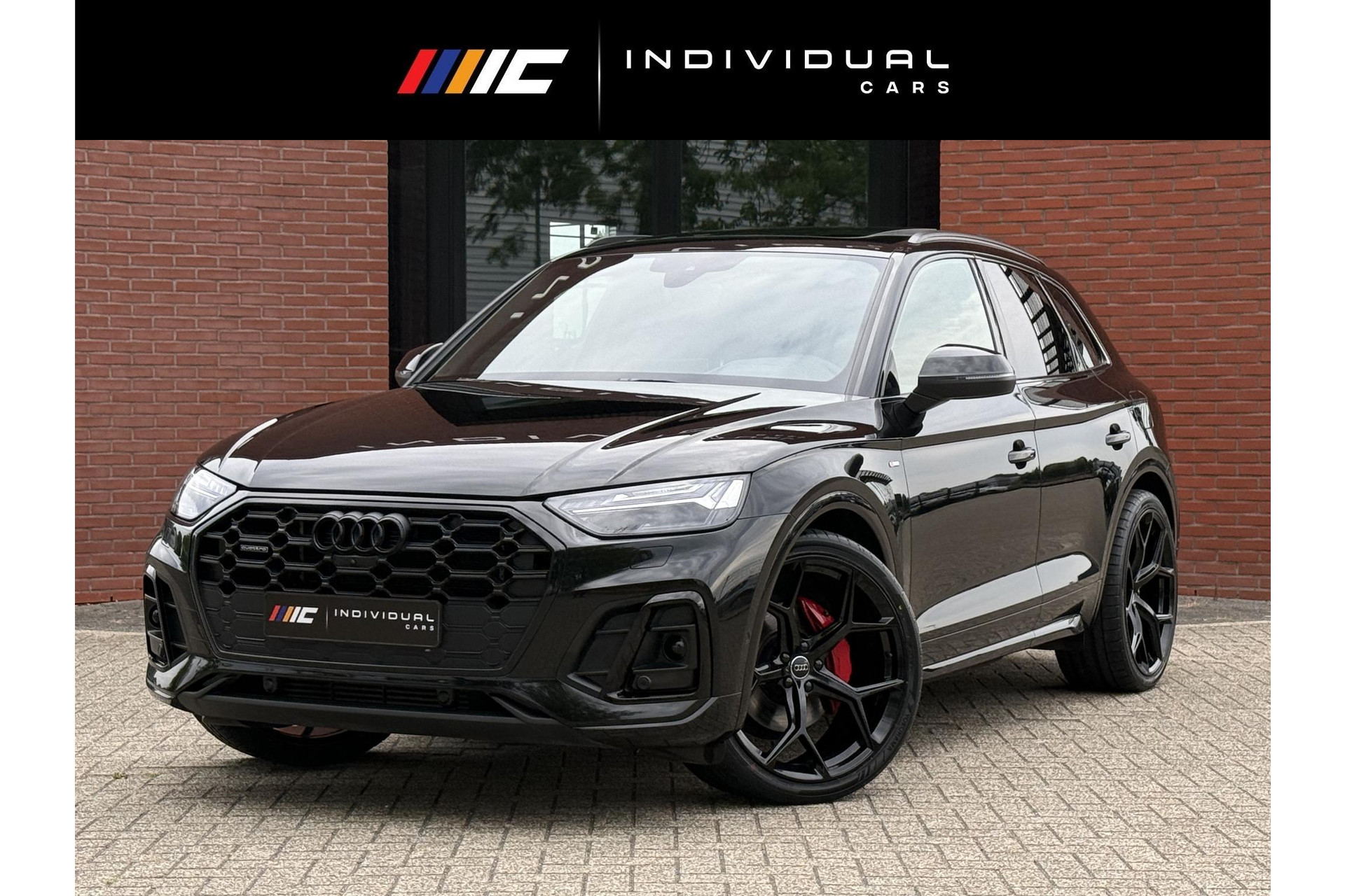 55651861